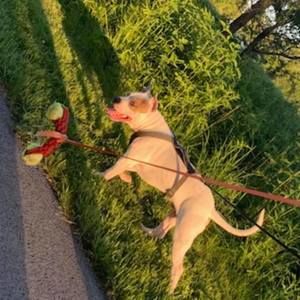 Meet your Posher, Aldo